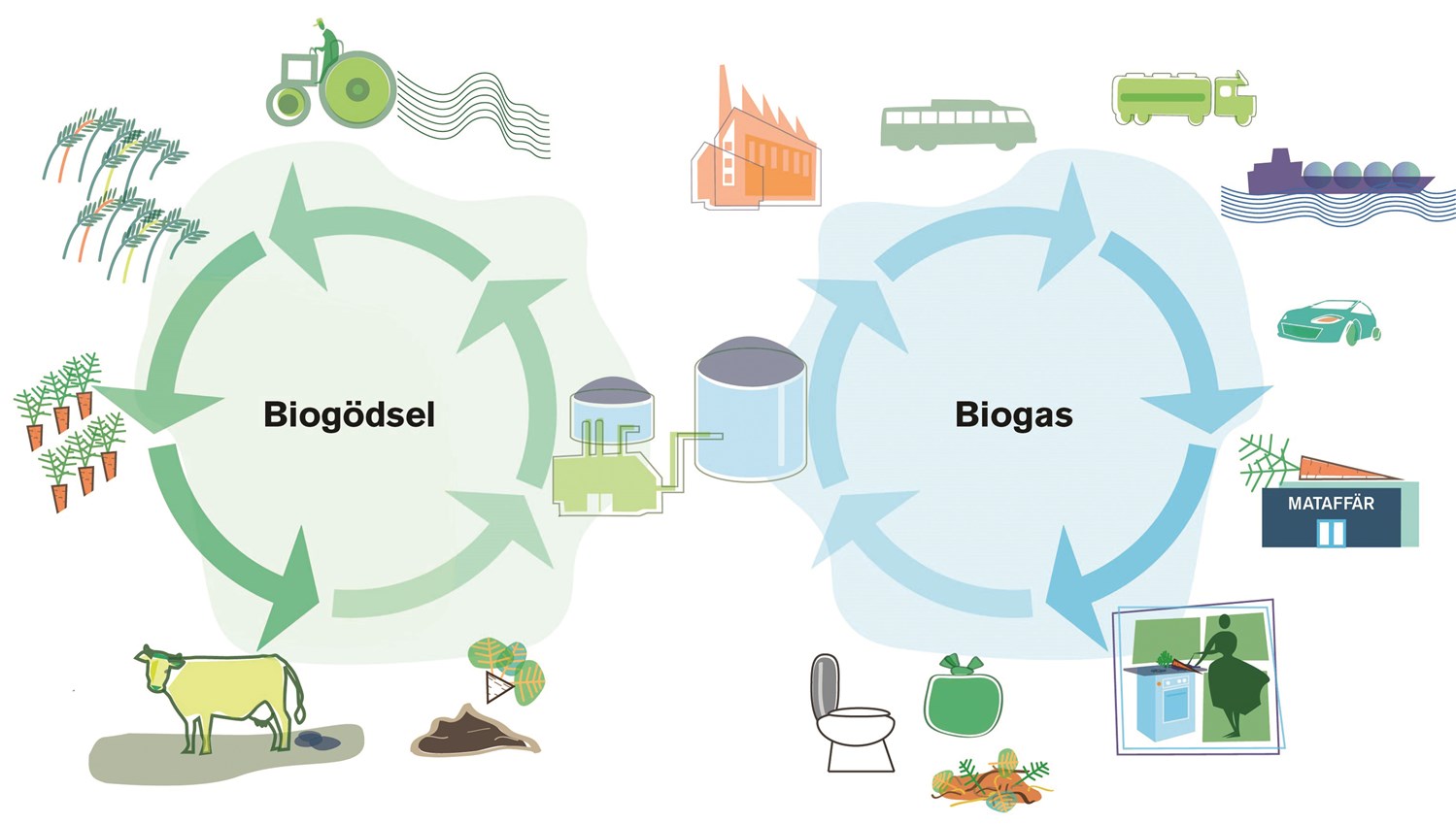 Biogas och biogödsel bidrar till kretslopp